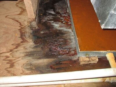 About water damage restoration service - basement flood restoration services experts in Littleton